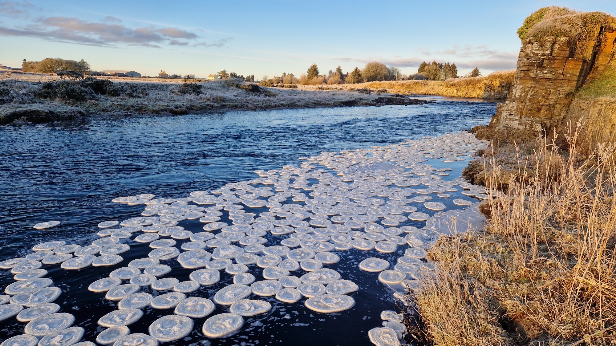 Ice pancakes on quarry pool