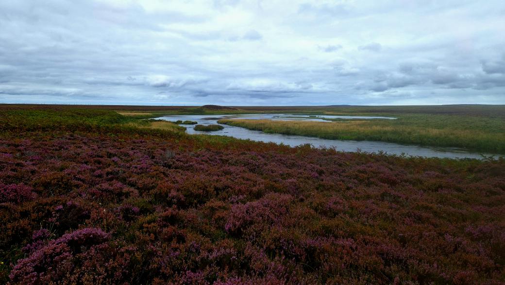 looking down to loch beg