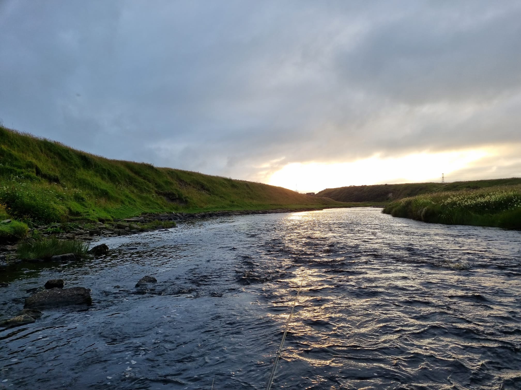 IMG 20240720 WA0002