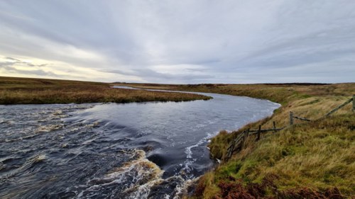 High water old womans 